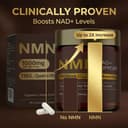 NMN 1000mg Liposomal Capsules - NMN 1000mg Liposomal Capsules image 3