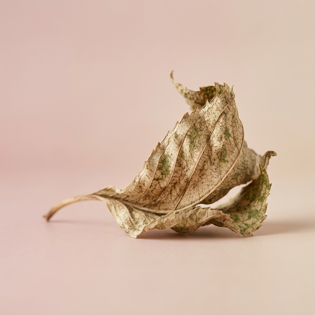 Constant dryness & discomfort?